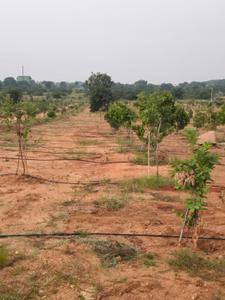Image of 121 Sq.ft Residential Plot / Land for sale in Keesara, Secunderabad for Rs. 786500