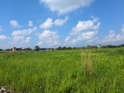 Image of 720 Sq.ft Residential Plot / Land for sale in Wander Valley, Joka, Kolkata for Rs. 250256