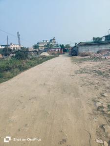 Six Mile Plot View 2