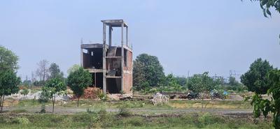 Plot View