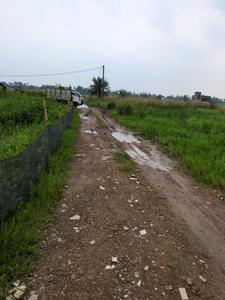 Wander Valley Internal Roads 2