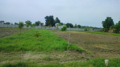 Image of 900 Sq.ft Residential Plot / Land for sale in Jewar, Greater Noida for Rs. 800000