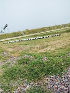 Image of 1110 Sq.ft Residential Plot / Land for sale in Sector 5, Sohna for Rs. 4375000