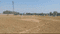Hesal Plot View 2