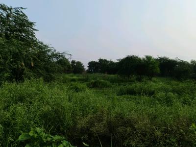 Rohini sector 34 pocket A2 Plot View 2