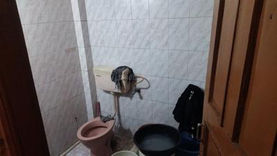 Image of 400 Sq.ft 3 BHK Independent House for sale in Panchsheel Nagar, Indore for Rs. 8000000
