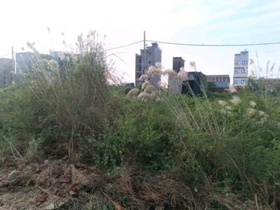 Image of 32 Sq.ft Residential Plot / Land for sale in Rohini Sector 28, New Delhi for Rs. 6100000