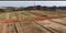 Patrapada Plot View 2