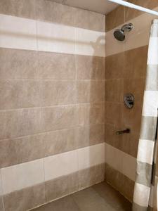 Bathroom Image of 650 Sq.ft 1 BHK Apartment / Flat for rent in Thoraipakkam Chennai for Rs. 24000