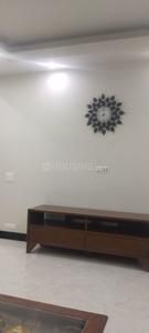 Hall Image of 5500 Sq.ft 7 BHK Independent House for sale in Sector 41 Noida for Rs. 65000000