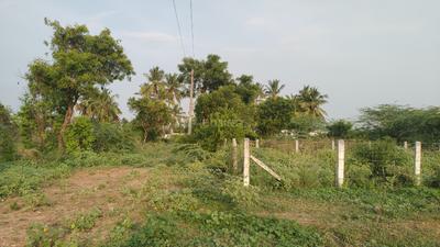 Image of 2400 Sq.ft Residential Plot / Land for sale in Kalapatti, Coimbatore for Rs. 11000000