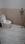 Bathroom Image of SUSHANT LOK 1 in Sector 44, Gurgaon