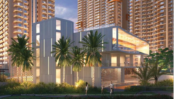 Ivory County Gold Main Image 1