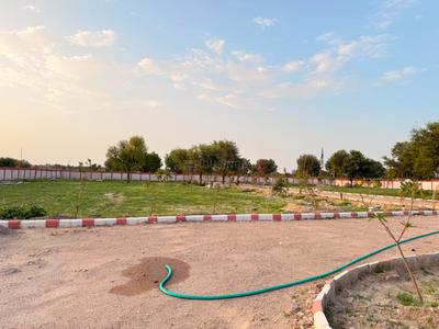 Image of 2034 Sq.ft Residential Plot / Land for sale in Jobner, Jaipur for Rs. 1151000