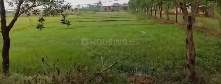 Lingipur Main Image 1