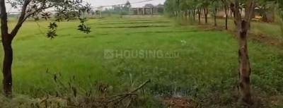 Lingipur Plot View 1