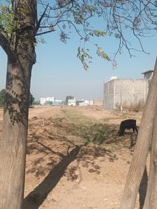 Image of 1017 Sq.ft Residential Plot / Land for sale in Gharuan, Mohali for Rs. 3850000