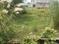 Gosainganj Plot View 2