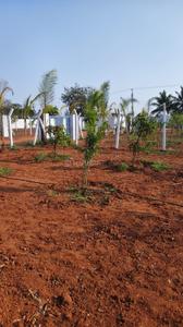 Farmplots Plot View 1