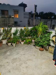 Image of 1400 Sq.ft 3 BHK Apartment / Flat for rent in Alaknanda, New Delhi for Rs. 57000