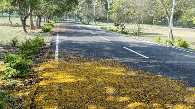 Image of 435 Sq.ft Residential Plot / Land for sale in Kalampalayam, Coimbatore for Rs. 750000