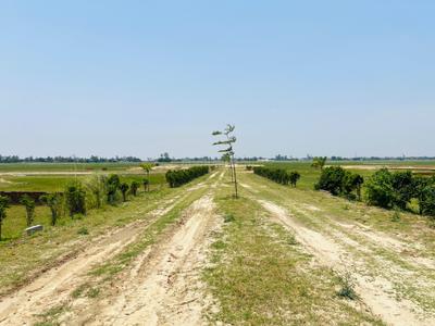 Image of 1000 Sq.ft Residential Plot / Land for sale in Maniram, Gorakhpur for Rs. 651000