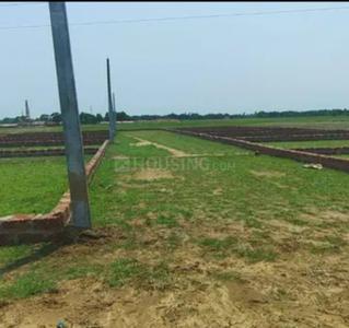 Patrapada Plot View 3