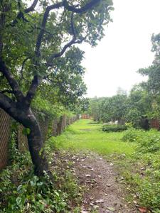 Image of 8000 Sq.ft 4 BHK Farm House for sale in Arambol, Goa for Rs. 27000000