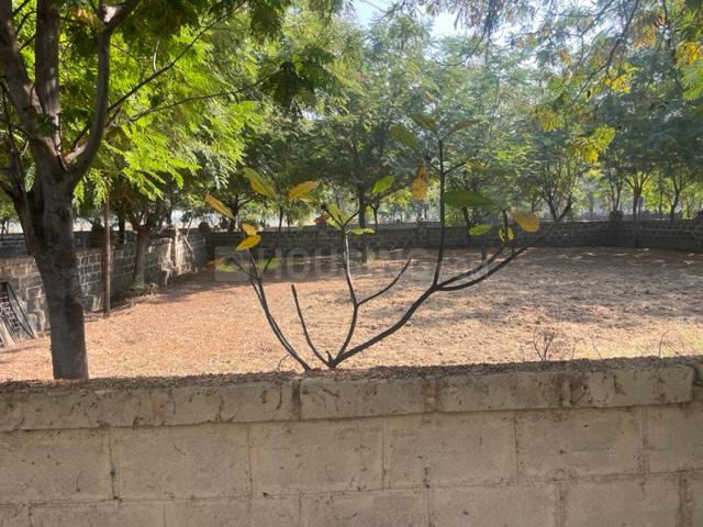 Bodakdev Main Image 1