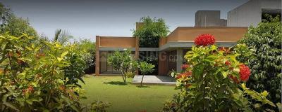 Kolat Plot View 2