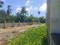 Diamond Park, Joka Plot View 2