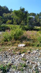 Image of 2695 Sq.ft Residential Plot / Land for sale in Kalagaon, Dehradun for Rs. 16500000