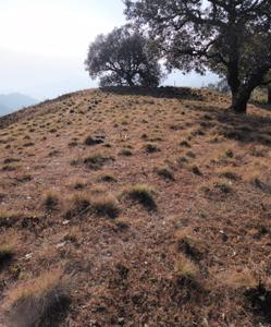Image of 945 Sq.ft Residential Plot / Land for sale in Kotdwar, Pauri Garhwal for Rs. 2100100
