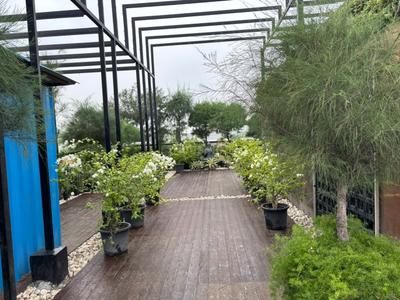 Balcony Image of Cozy Heaven in Sector 57, Noida
