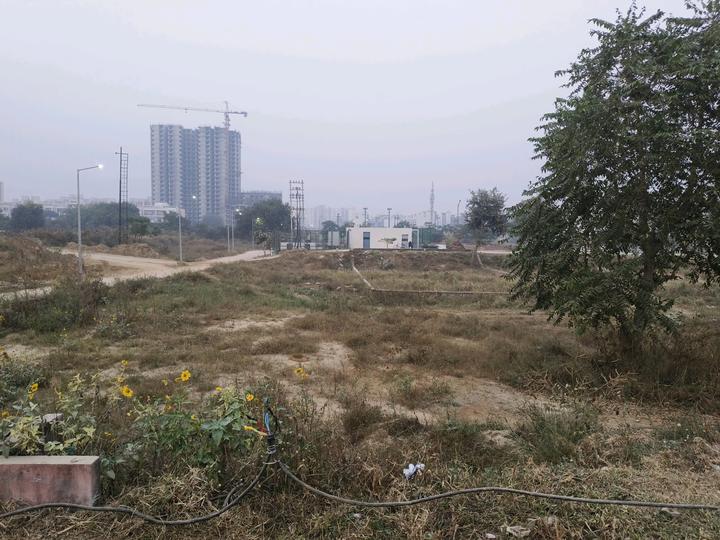 DLF Cyber City, DLF Phase 2 Main Image 1