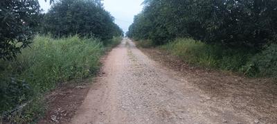 Image of 1210 Sq.ft Residential Plot / Land for sale in Chilkur, Hyderabad for Rs. 30500000