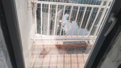 Balcony Image of 710 Sq.ft 1 BHK Apartment / Flat for rent in Suncity Pride, Belapur CBD Navi Mumbai for Rs. 45000