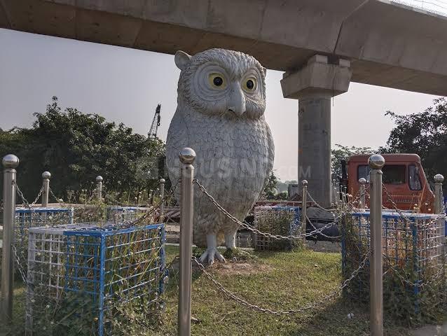 Action Area 2 Main Image 1