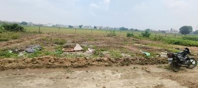Mutkkipur Plot View 2