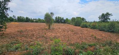Royal sky properties Plot View 2