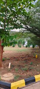 SATYA GARDENS Plot View 1