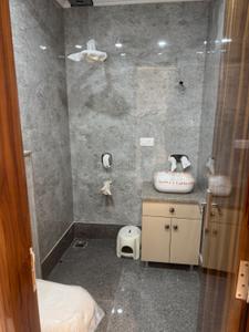 Image of 960 Sq.ft 2 BHK Builder Floor for rent in Pitampura, New Delhi for Rs. 40000