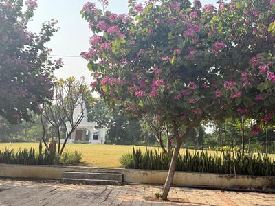Image of 1000 Sq.ft Residential Plot / Land for sale in Kolar, Raipur for Rs. 1790000