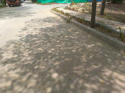 Adani Oyster Greens Internal Roads 1