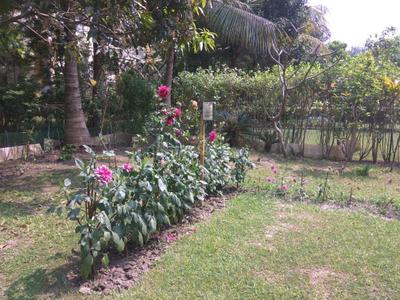 Image of 3400 Sq.ft 4 BHK Duplex for sale in Vedic Village, Kolkata for Rs. 11000000