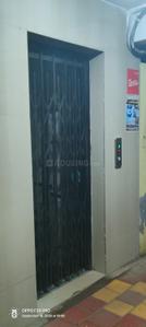 Bedroom Image of 1300 Sq.ft 3 BHK Apartment / Flat for rent in Tilhari Jabalpur for Rs. 13000