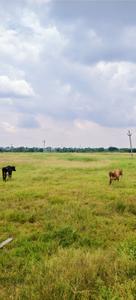 Keshampet Plot View 1