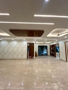Hall Image of 4680 Sq.ft 4 BHK Builder Floor for sale in Palam Vihar Gurgaon for Rs. 50900000