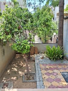Image of 3654 Sq.ft 3 BHK Villa for sale in Gurukul, Ahmedabad for Rs. 50000000