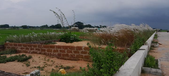 Padmanava project Main Image 1